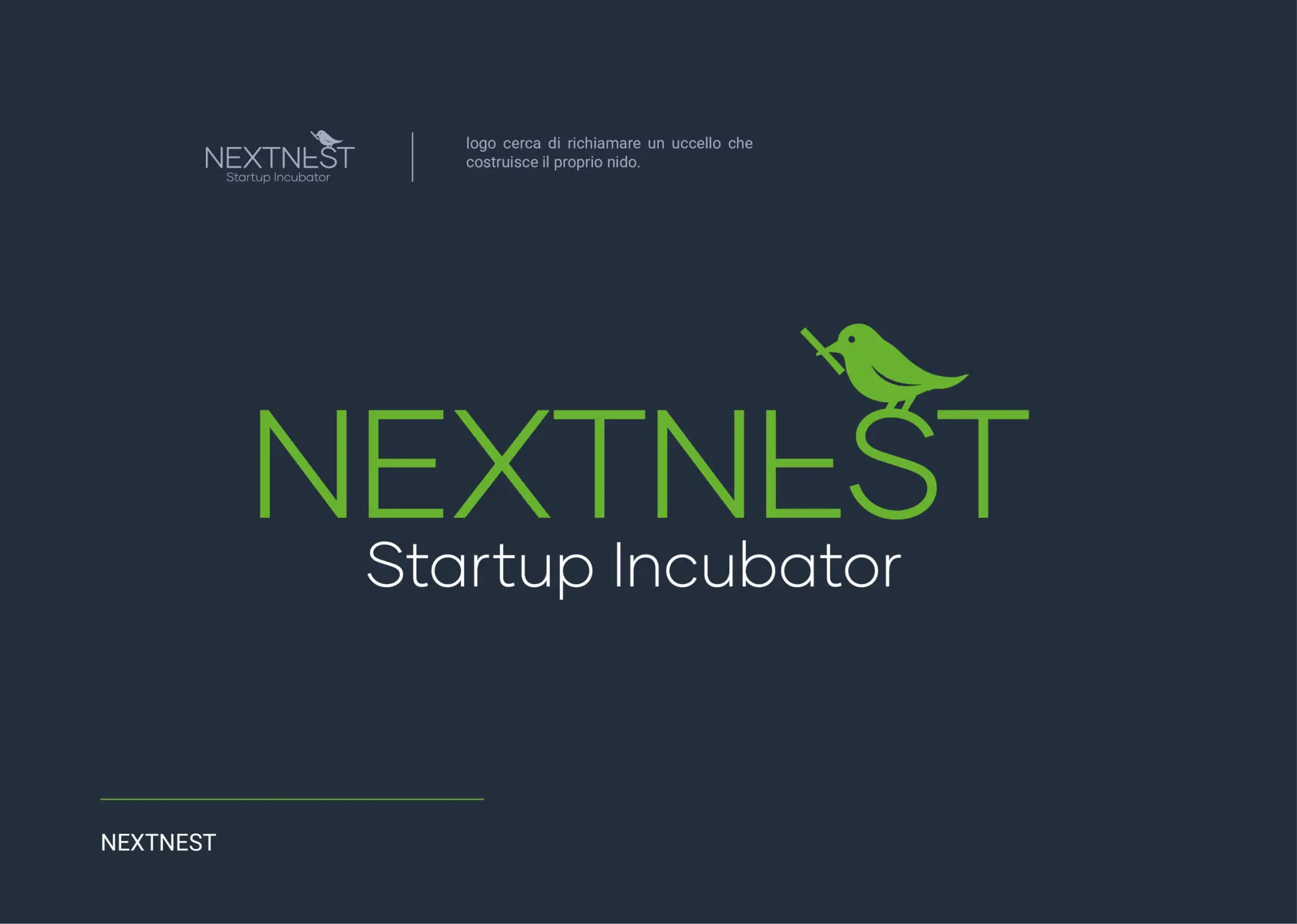 Sistema di logo NextNest su fondo blu